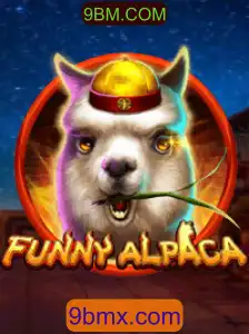 Explorando o Mundo Divertido de FunnyAlpaca