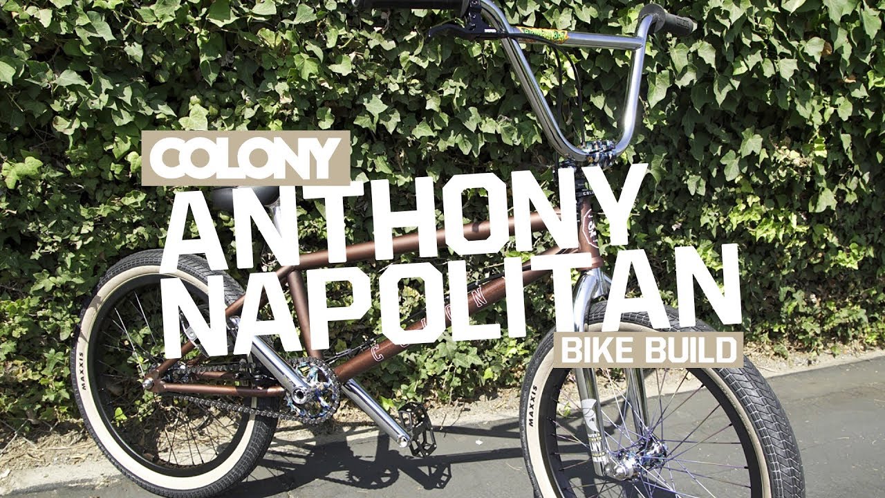 Anthony Napolitan Bike Build – Colony BMX